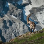 unbenannt-3319-2-Bearbeitet